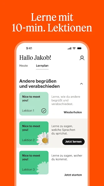 Screen